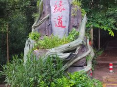 -东莞市大岭山森林公园