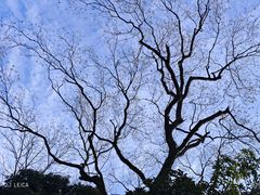 -绮园景区