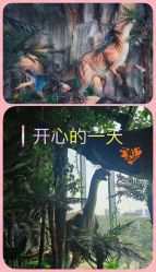 -恐龙探索乐园(磁器口店)