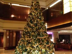 iphone_upload_pic-深圳星河丽思卡尔顿酒店
