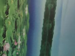 -蓉府金足印象(新鸿路6分店)