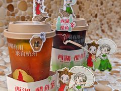 -炖物24章·顺时轻养茶(杭州大厦店)