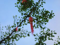 -求雨山文化公园