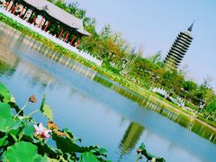 -西海子公园