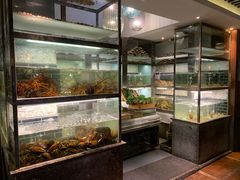 -甄御•海鲜新青岛菜(麦岛店)