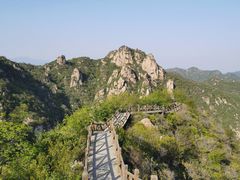 -大岭沟猕猴桃谷风景区