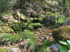 -终南山南五台景区