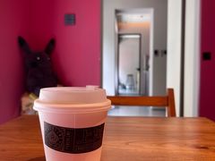 夏之花澳白-Punchline Coffee&Roaster(同济大学店)