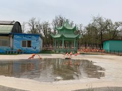-秦皇岛野生动物园