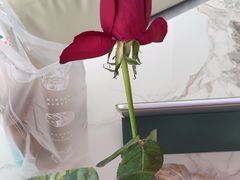 -海底捞火锅(群光广场店)