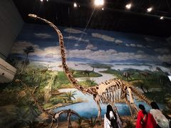 -自贡恐龙博物馆