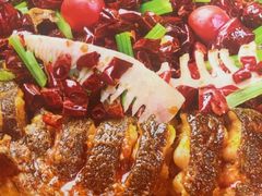 -老板恋上鱼(恒隆广场店)