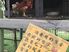 -田园东方蜜桃村的田野营地