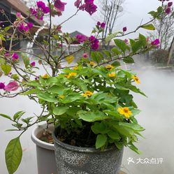 【隐溪别院庭院餐厅(云龙店)】电话,地址,价格,营业时间(图) - 株洲