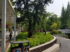 -兰溪青年公园