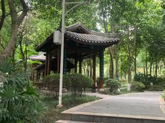 -龙头寺公园