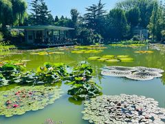 -国家植物园南园