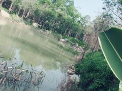 -美的鹭湖森林度假区