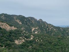 -大岭沟猕猴桃谷风景区