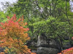 -梭布垭石林景区