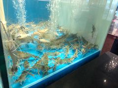 -钳真多钓虾馆·小龙虾海鲜烧烤(九六广场店)