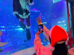 -沈阳海洋探索中心