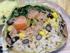 -油梨树AVOCADO TREE(顺义新国展店)