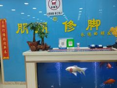 -朋朋修脚(滂江街店)