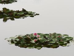 -千龙湖生态旅游度假区