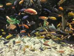 -太平洋海底世界