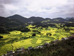 -牛街螺丝田