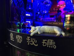 -星宿秘码(鼓浪屿老店)