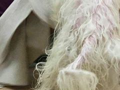 -惠康宠物医院(华能路店)