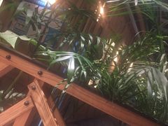 -大头椰·椰子鸡火锅(南宁万象城店)