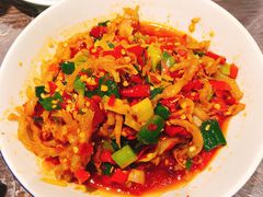 鸭掌筋-壹盏灯(惠农店)