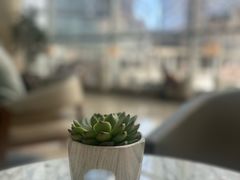 -Plush大堂酒廊(北京金融街威斯汀大酒店)
