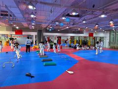 -陈中跆拳道(中关村馆)