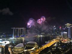 -新加坡瑞士史丹福酒店