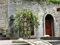 -深圳国际园林花卉博览园