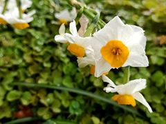 -共青国家森林公园-售票处