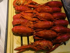 -肥肥虾庄·金牌油焖大虾(沙湖店)