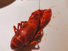 -王红军龙虾(新民路店)