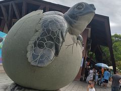 -广东惠东海龟国家级自然保护区