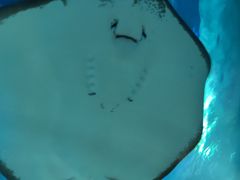 -石家庄海洋公园