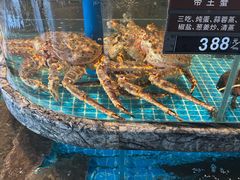 -百富源·海鲜辽菜(张士店)