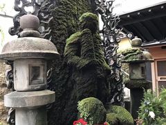 -Hōzen-ji Temple法善寺
