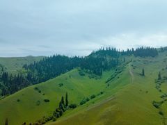-新疆那拉提国家旅游度假区