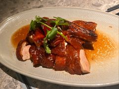 经典烧鸭-留半山·香港食堂(啦啦宝都店)