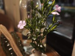 -夏朵餐厅(丁香店)