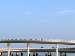 -演武大桥观景平台